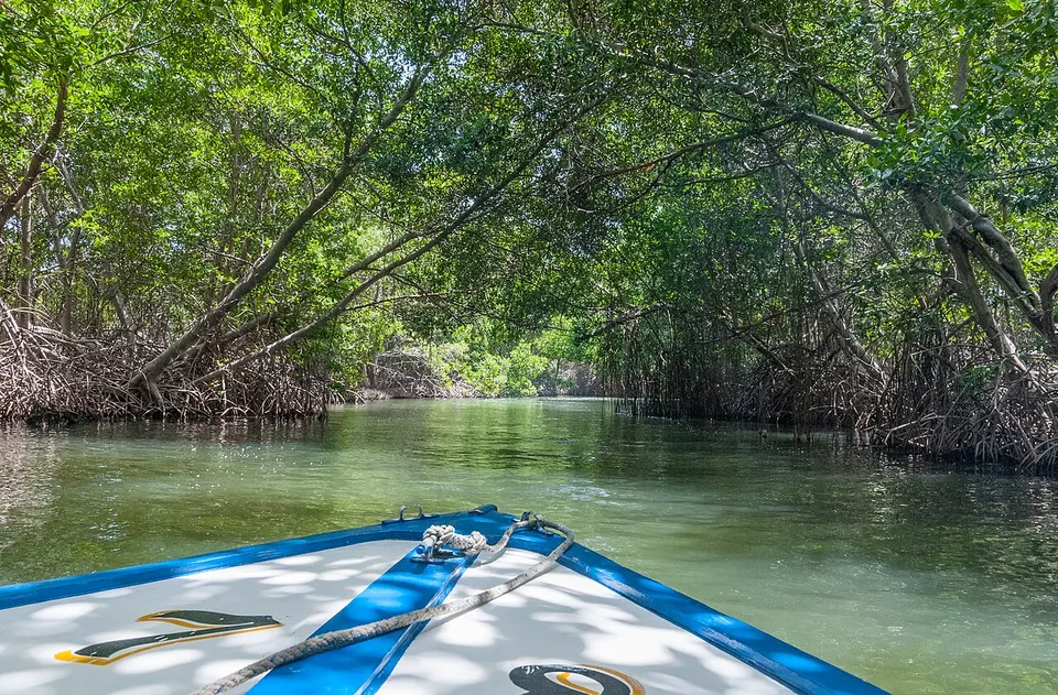 Parque Nacional Laguna de la Restinga (5) — Nueva Esparta, Venezuela