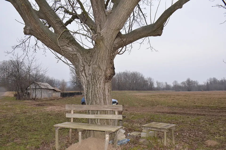 Zapis-0054-Savac-Orah-Brana 20150222 1203 — Rasina District, Serbia