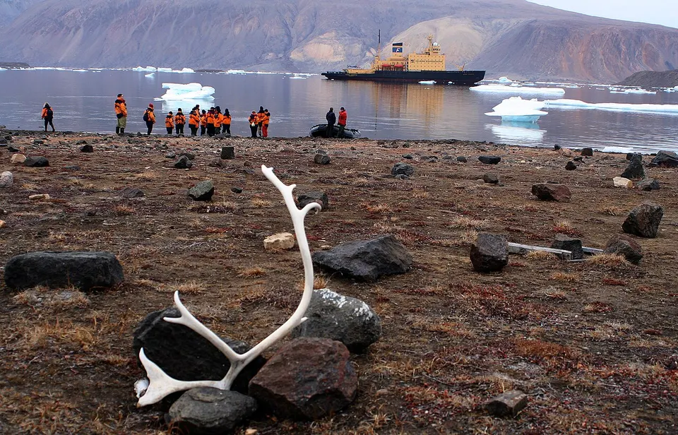 High Arctic tundra on the Greenland coast — Northeast Greenland National Park, Greenland