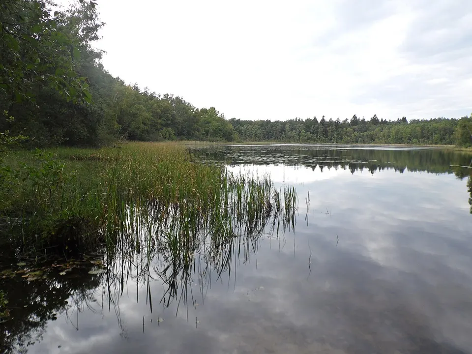 Jez Chelm kz1 SAM 0397 02 — West Pomeranian Voivodeship, Poland