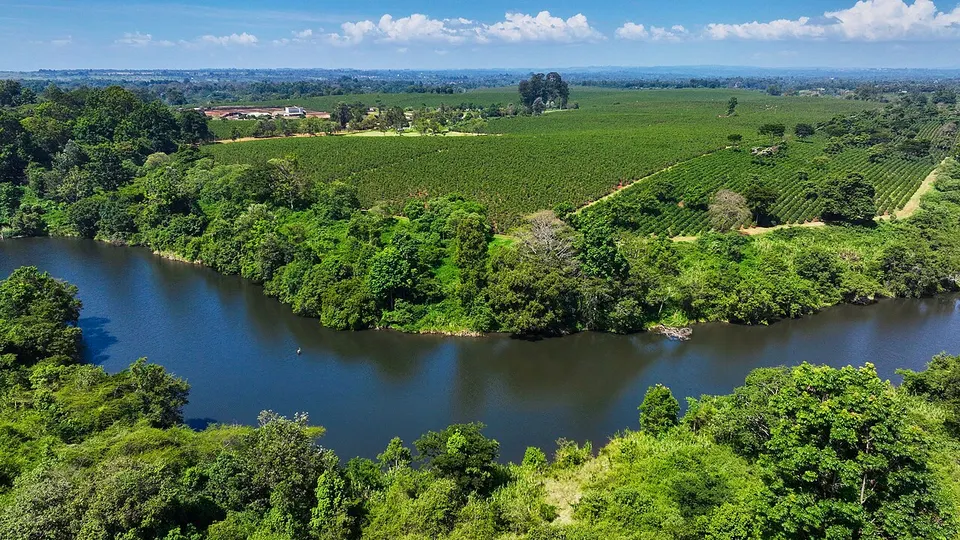 Green spaces — Kiambu, Kenya