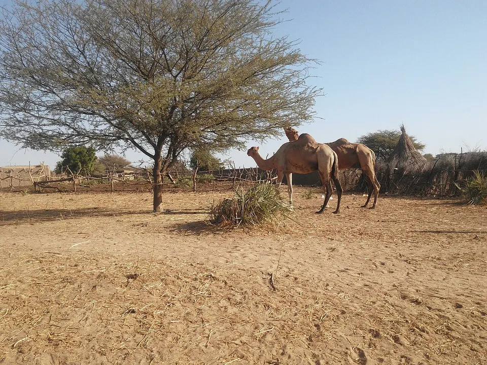 Village sur la route d'AM-TIMAN01-Tchad — Salamat, Chad