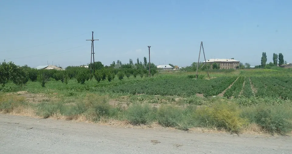 Lenughi — Armavir, Armenia