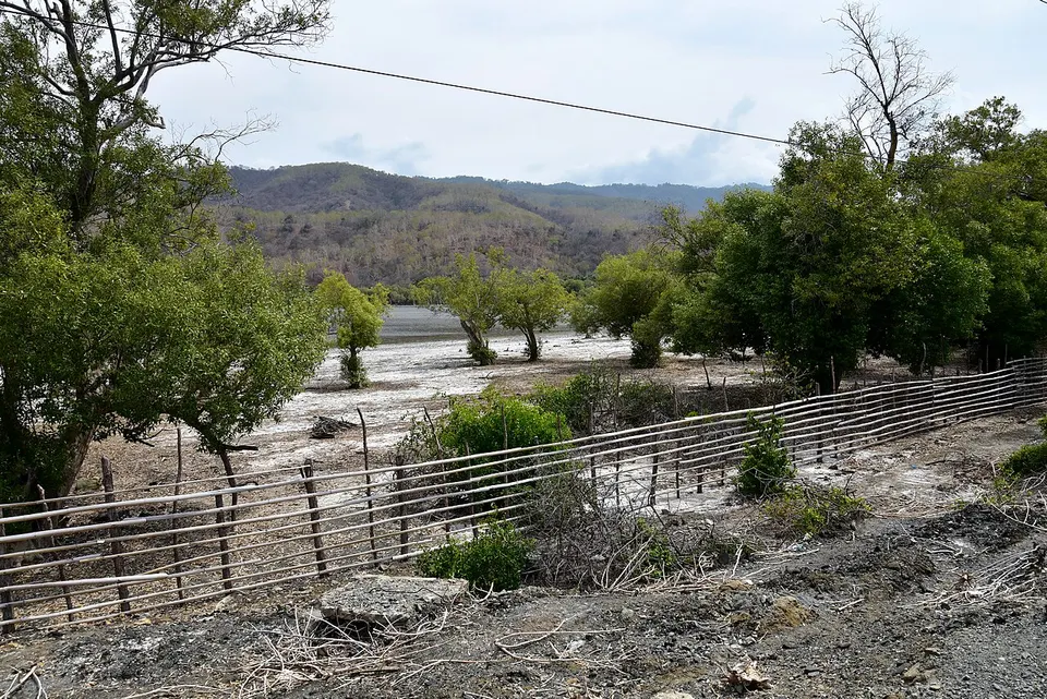 Maubara Lake, 2018 — Liquiçá, Timor Leste