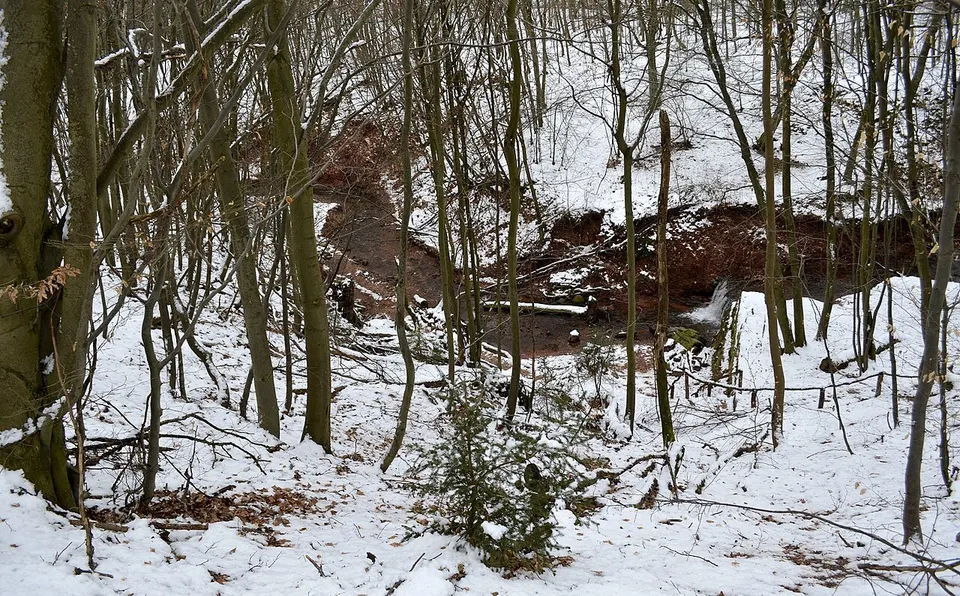 Mühlenbach-Schlucht — Saarland, Germany