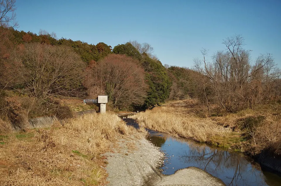 Stream flowing through grassland — Saitama, Japan