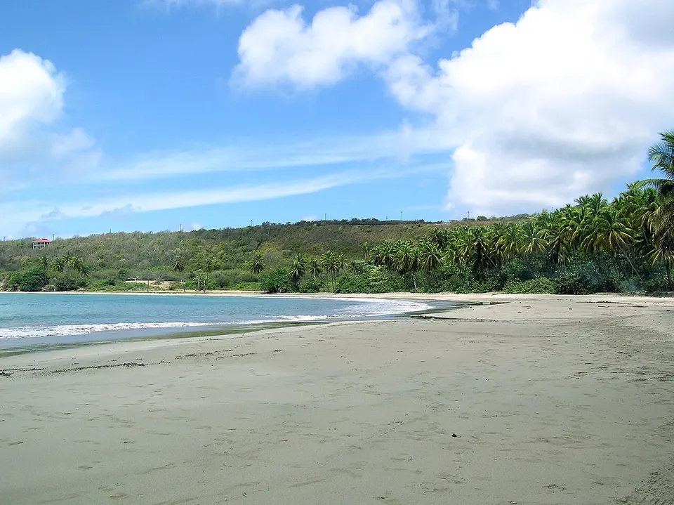 Sandy beach and coastal forest — Saint David, Grenada