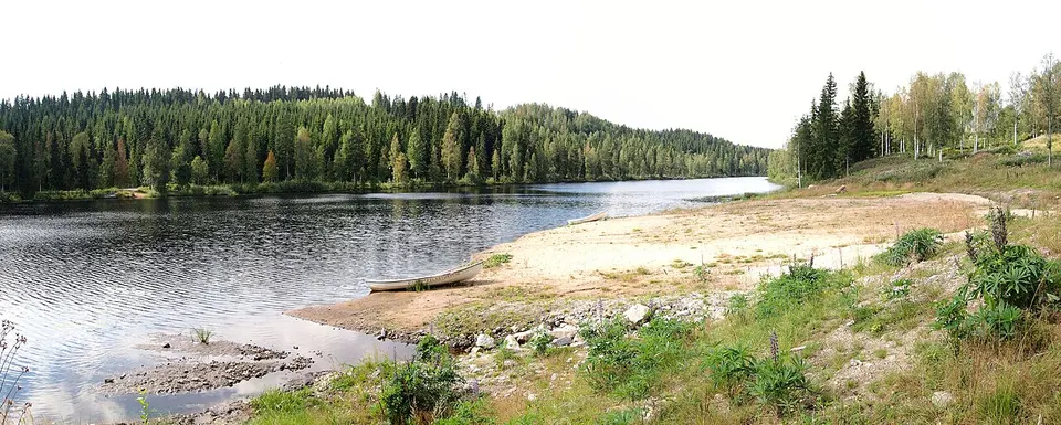 Lake and forest — Central Finland, Finland