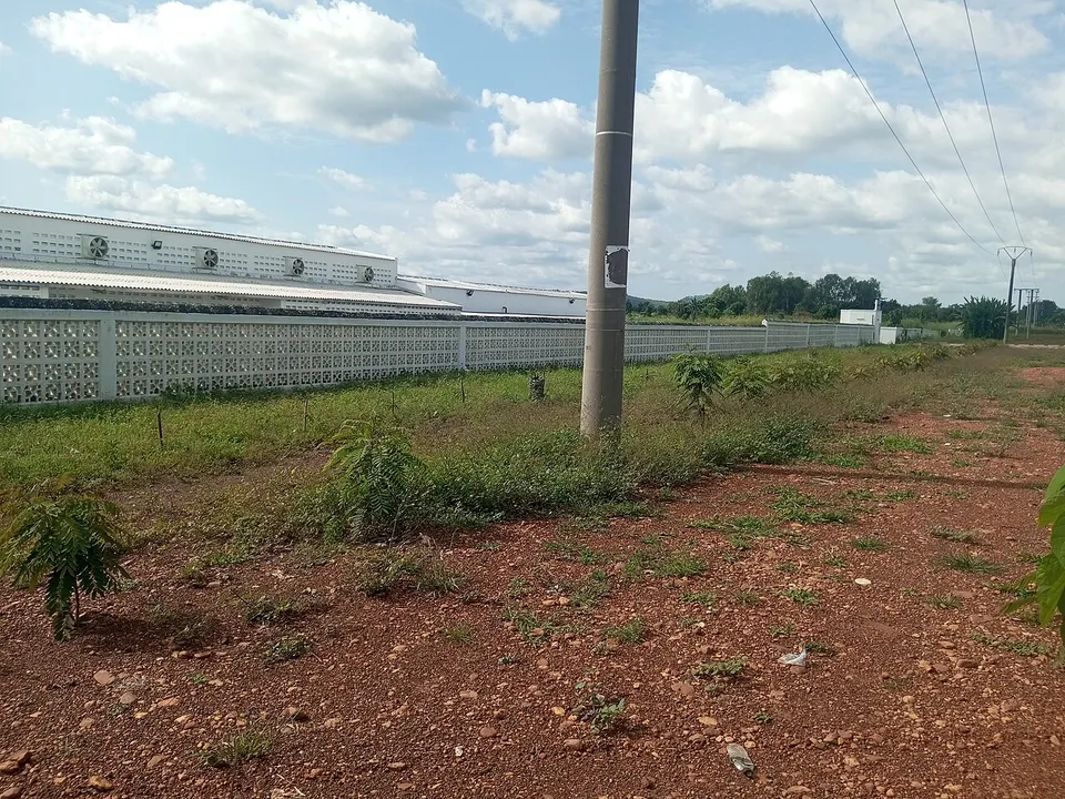 Industrie textile de Datcha 36 — Plateaux Region, Togo