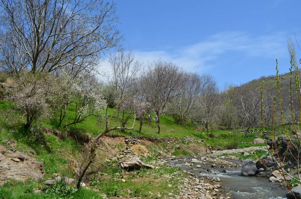 نمایی از اطراف روستای آلمالو - panoramio (1) — East Azerbaijan, Iran