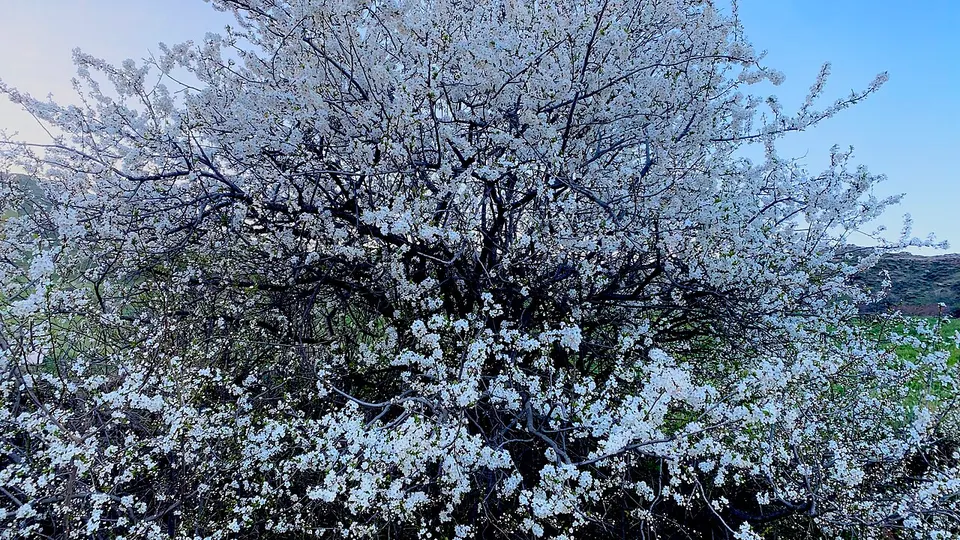 شندرشامی — Ardabil, Iran