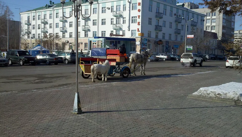 Pony - panoramio — Kostanay Region, Kazakhstan