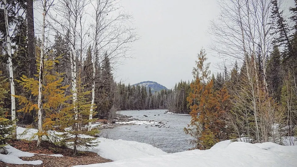 Spahats Creek (147986069) — Thompson-Nicola, Canada