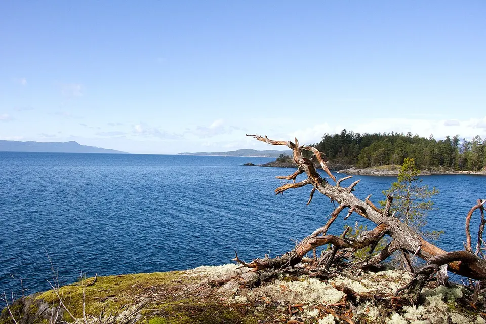 Francis Point Park 8 (13196156163) — Sunshine Coast, Canada