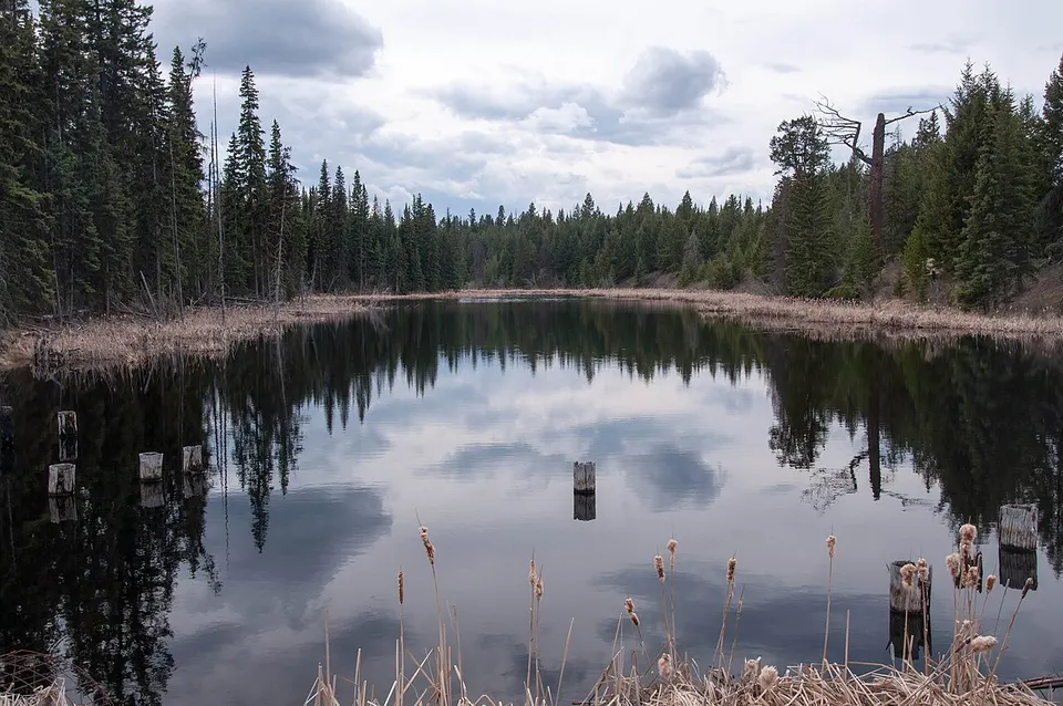 Roe Lake — Interlakes, Canada