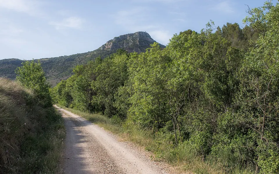 Pic de Vissou, Cabrières, Hérault 01 — Hérault, France