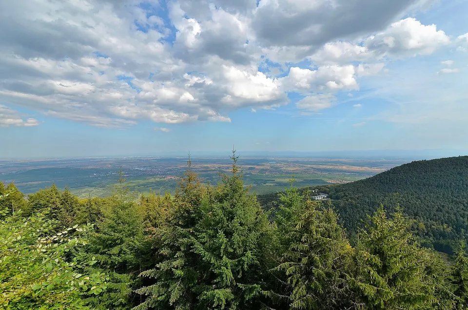 Mont Sainte-Odile (Bas-Rhin) - Abbaye de Hohenbourg - Panorama sur la plaine d'Alsace - 51166329207 — Bas-Rhin, France