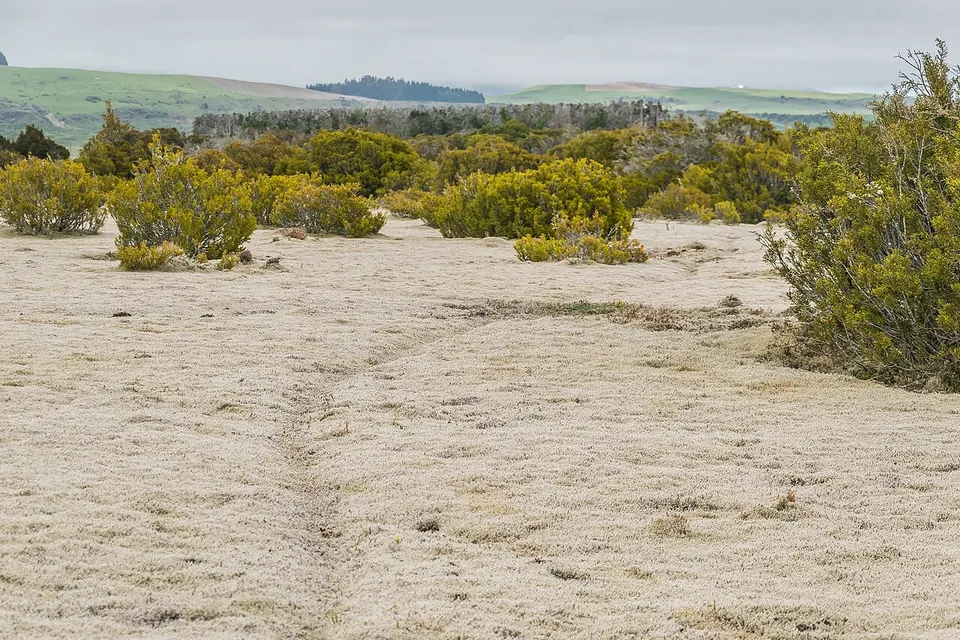 Wilderness Scientific Reserve 08 — Southland District, New Zealand