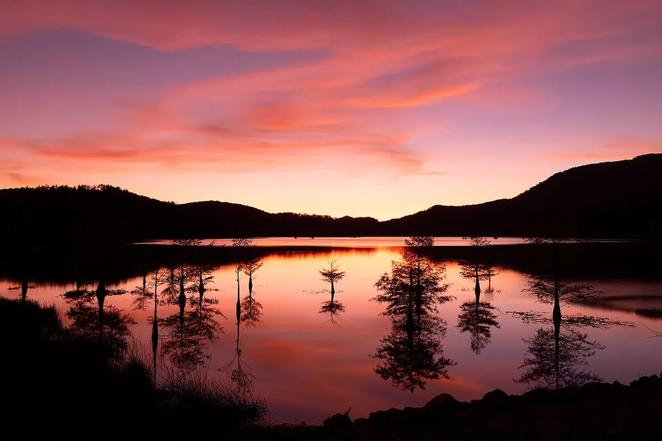 Twilight Trees of Ocoee Lake (49594819986) — Polk, United States