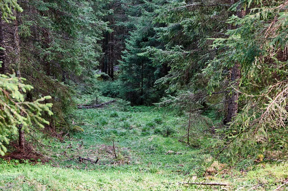 Sagbach valley in Mutters 2026-05-09 11 — Innsbruck-Land, Austria