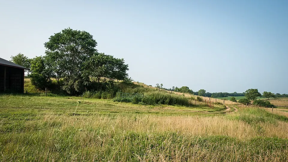 Patriot Farmers of America (20150707-FFAS-LSC-0228) — Clarke, United States