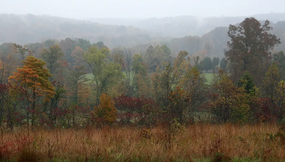 Hoosier National Forest — Orange, United States