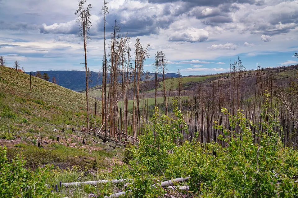 Mountains in Albany Wyoming — Albany, United States
