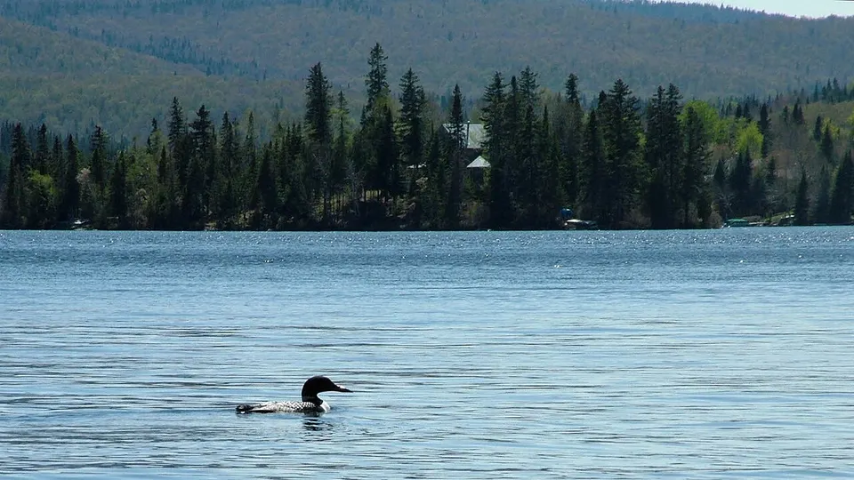 Canada Qc lac Archambault St-Donat (huard) — Lanaudière, Canada
