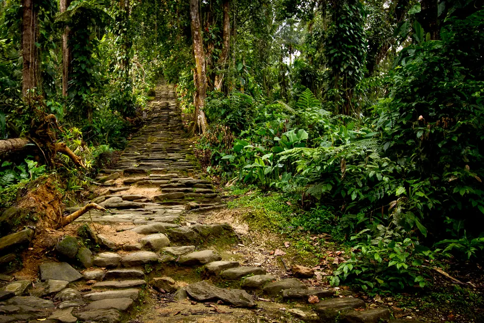 Stone Stairway to Ciudad Perdida — Santa Marta, Colombia