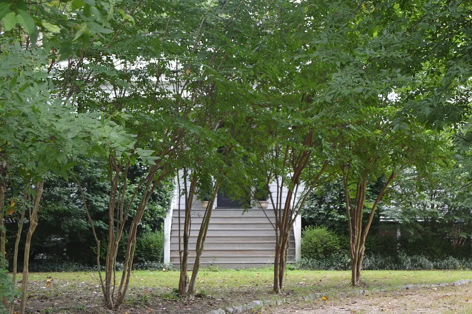 Henrico Edge Hill street view — Henrico, United States