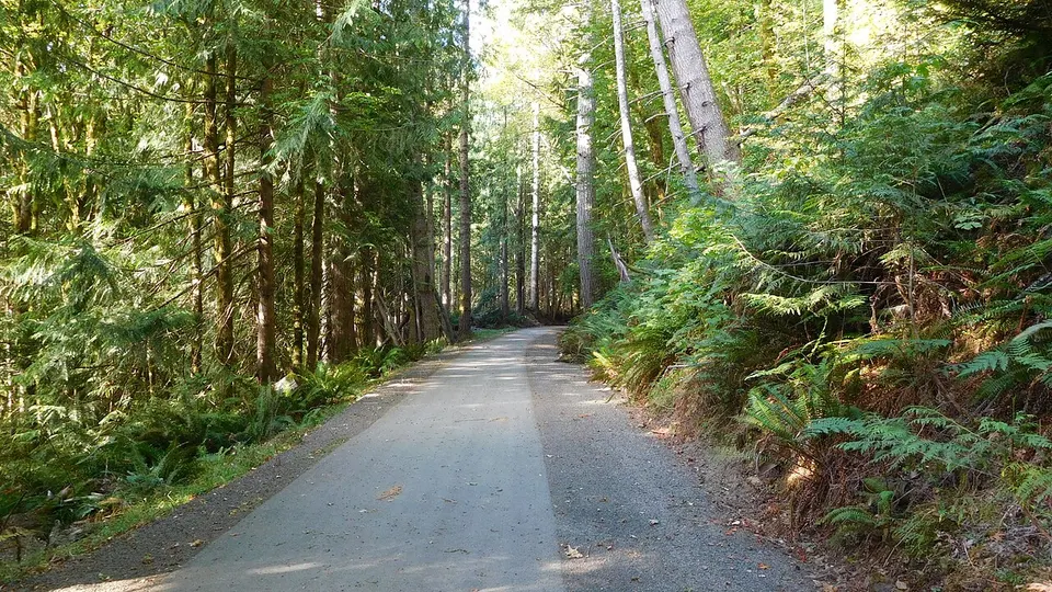Farther west along Crescent Lake, smooth bike path begins (29132154023) — Clallam, United States