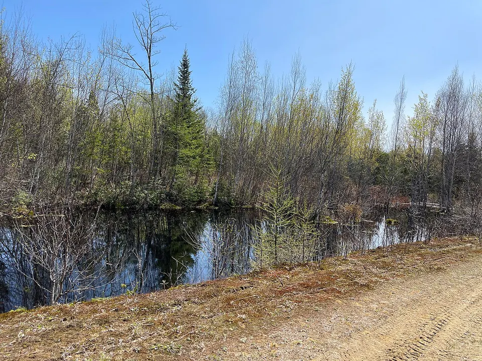 Saint Maurice 056 — Mauricie, Canada
