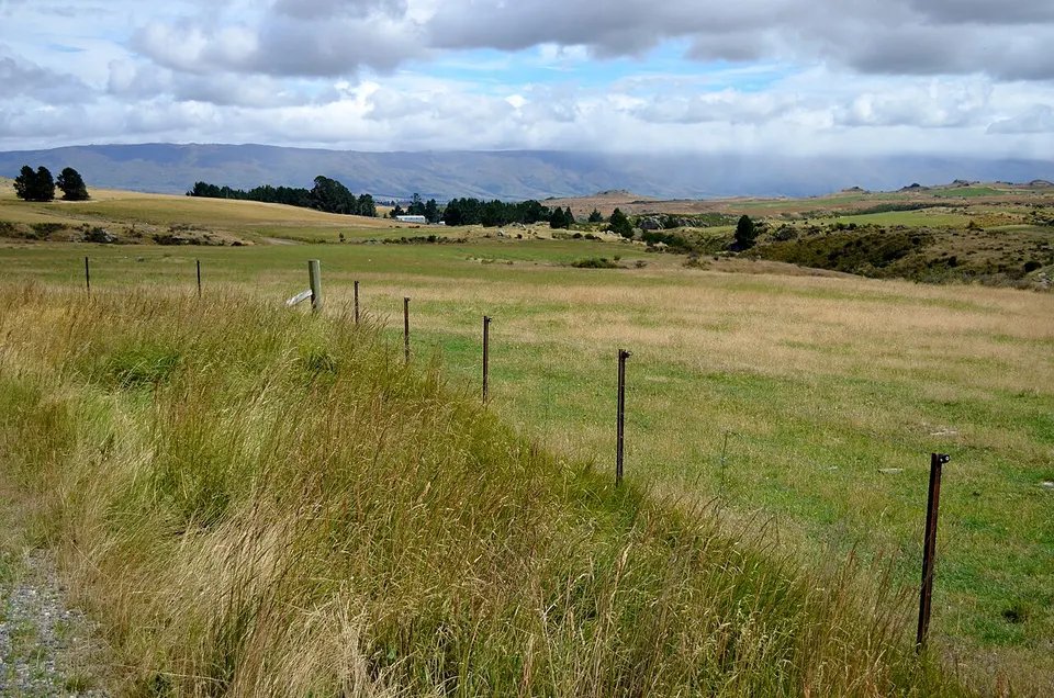 Field, Pukerangi, Otago, 2013 (01) — Dunedin City, New Zealand
