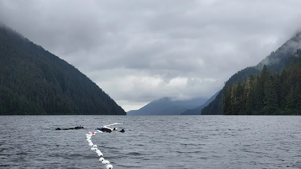 Redoubt Seine-Tongass-CDM-01 (52503081640) — Sitka, United States
