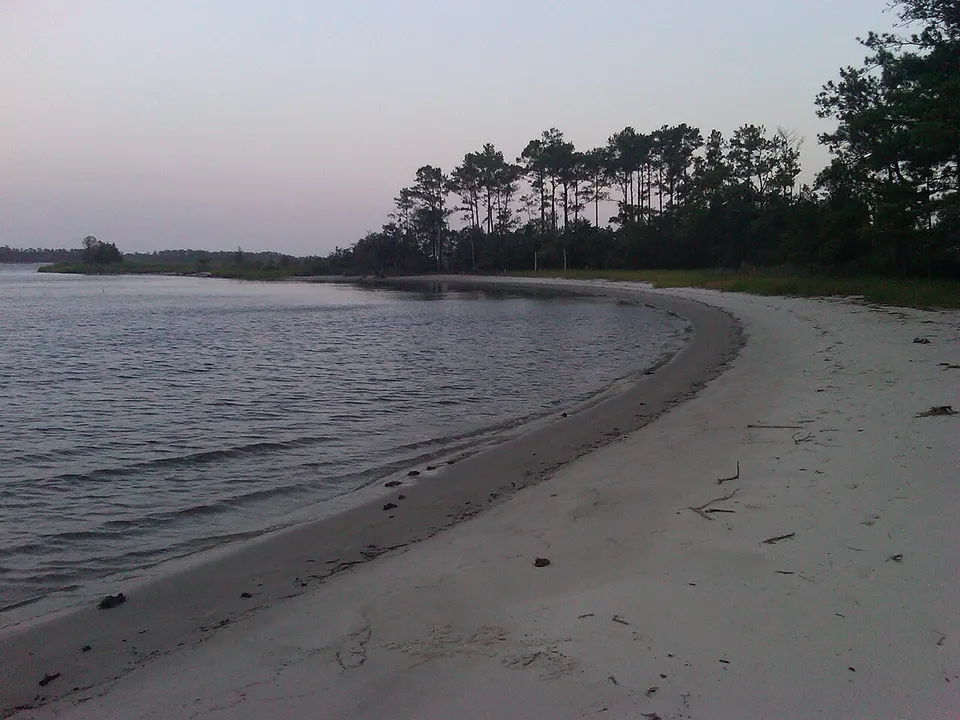 Talorchestia habitat — Carteret, United States