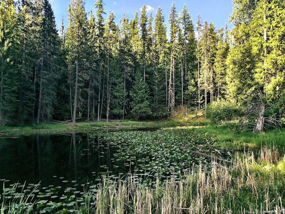 Round Lake State Park — Bonner, United States