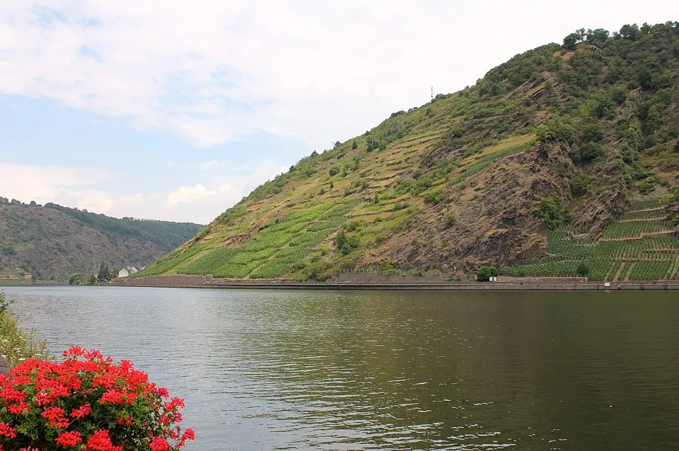 River Mosel, Löf, Rhineland-Palatinate, Germany - panoramio — Koblenz, Germany