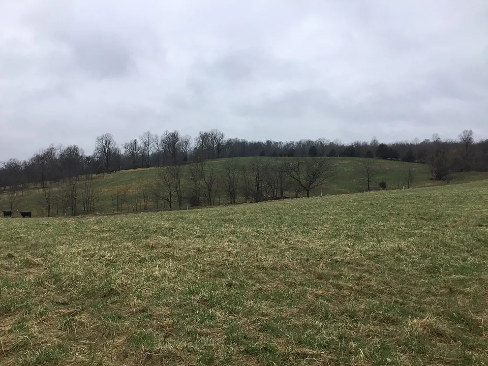 Goodview2 - Caldwell County, Kentucky — Caldwell, United States