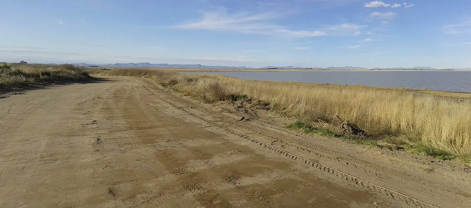 Saavedra Partido, Buenos Aires Province, Argentina - panoramio (14) — Saavedra, Argentina