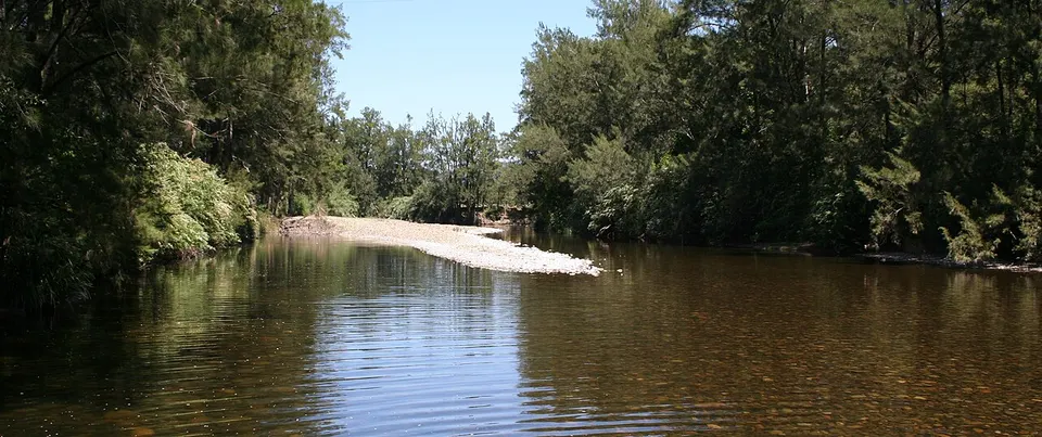 Williams River - panoramio — Dungog, Australia