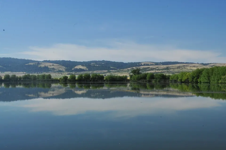 Npnht-tolo-lake-july-2019-roger-m-peterson-002 (49523031077) — Idaho, United States