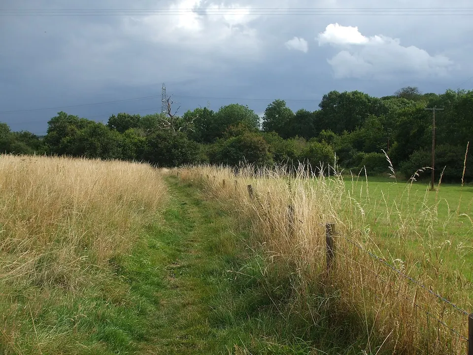 Path to Robins Wood - geograph.org.uk - 6222319 — South Gloucestershire, United Kingdom