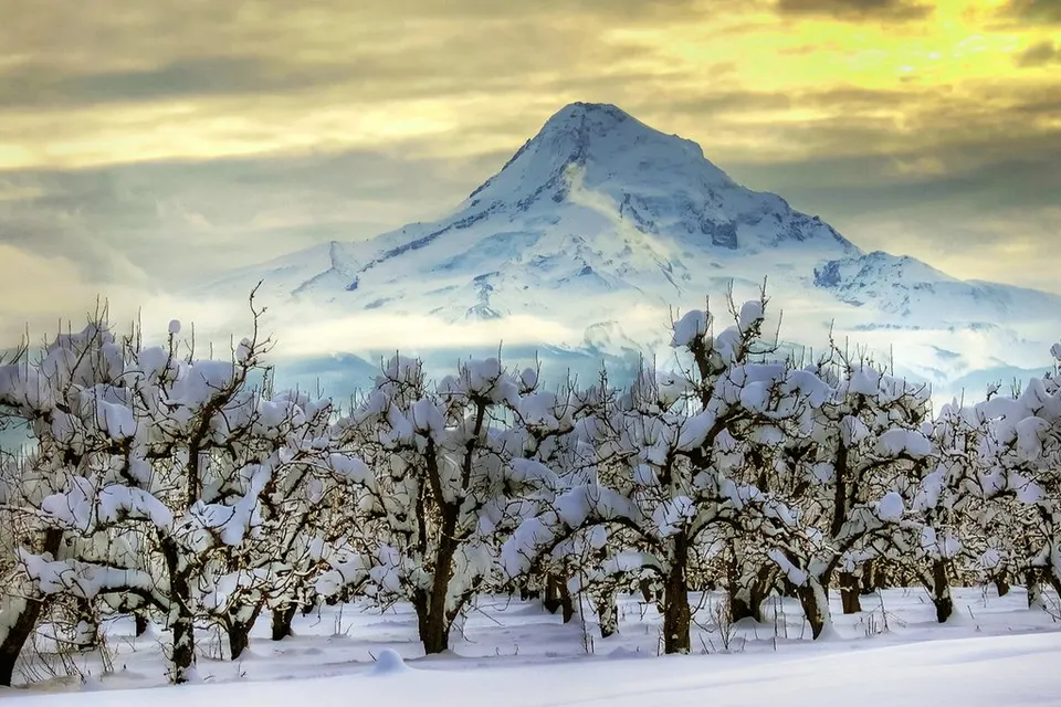 Snowy Mt. Hood, Mt Hood National Forest (23577846912) — Hood River, United States
