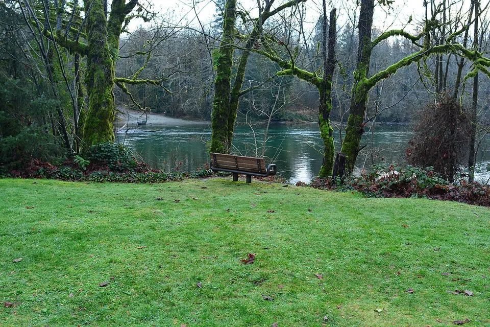 Howard Miller Steelhead Park 02 — Skagit, United States