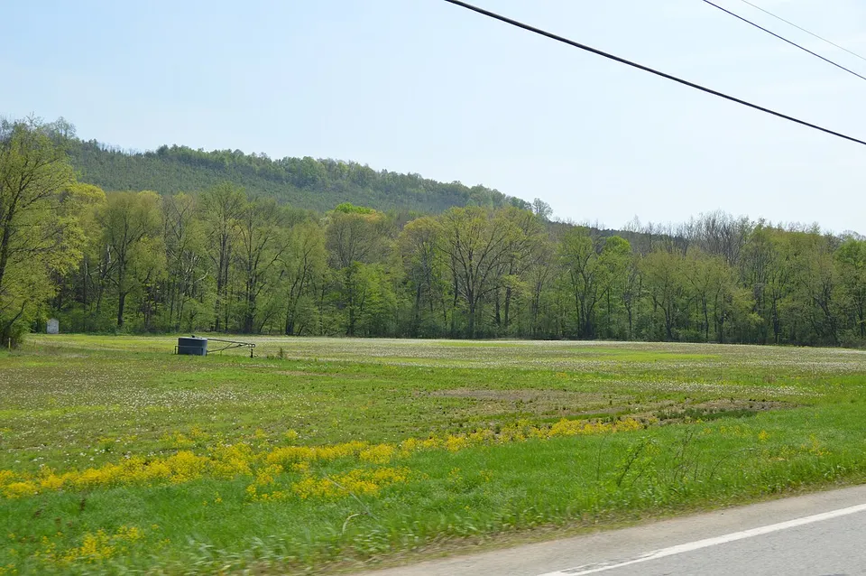Cowanshannock Creek floodplain, Valley Township — Armstrong, United States