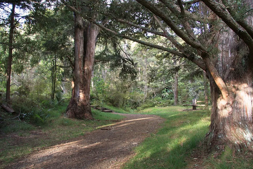 Omeru Scenic Reserve, Kaukapakapa 02 — Rodney Local Board Area, New Zealand