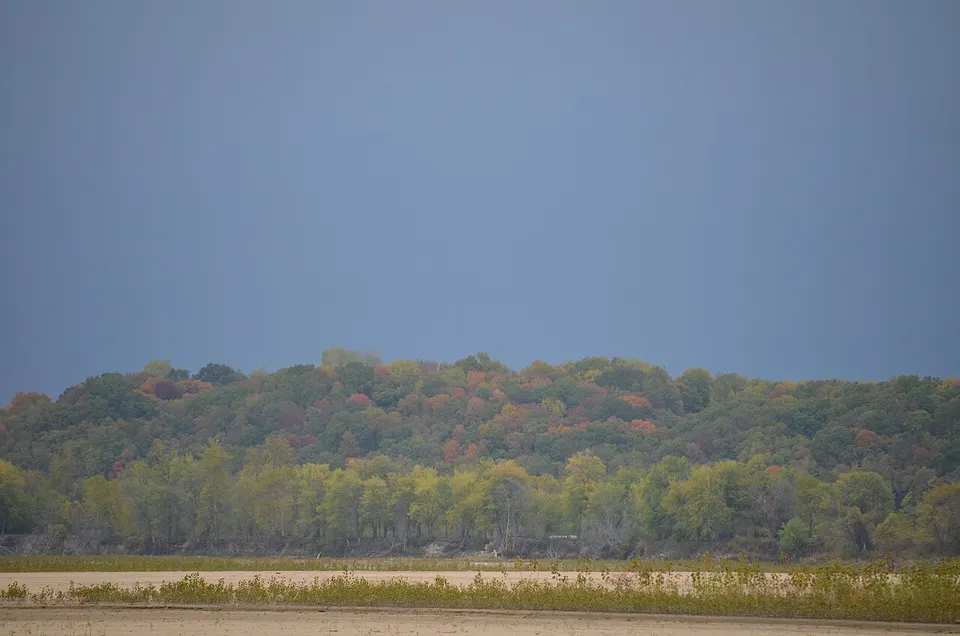 Fall foliage (8080509225) — Boone, United States
