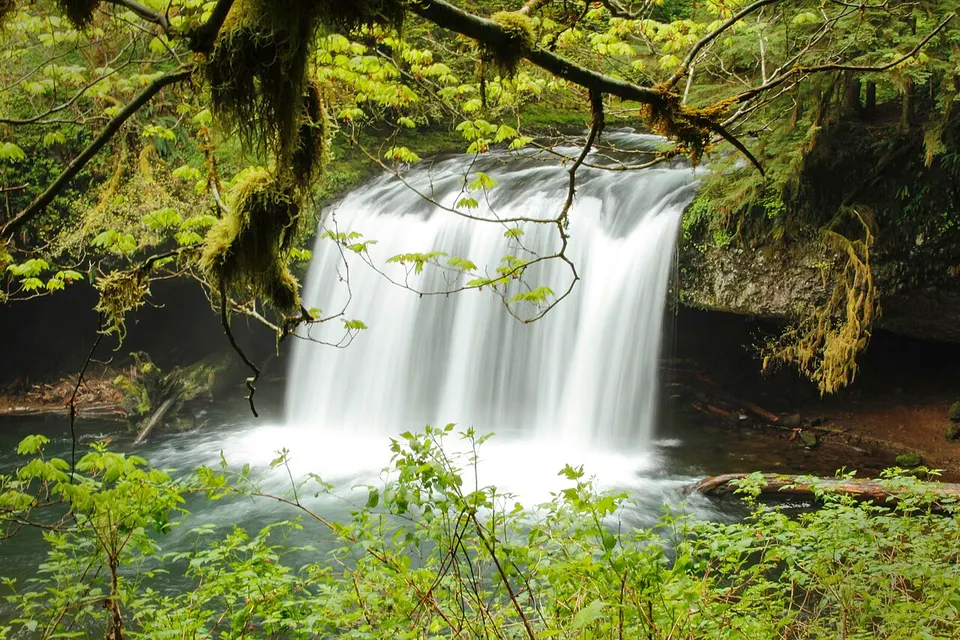 Butte Creek Waterfall, Oregon (31900065663) — Marion, United States