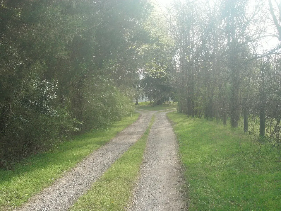 Oak Hill, Cumberland State Forest, Cumberland County, Virginia - road to property, house in trees in distance — Cumberland, United States