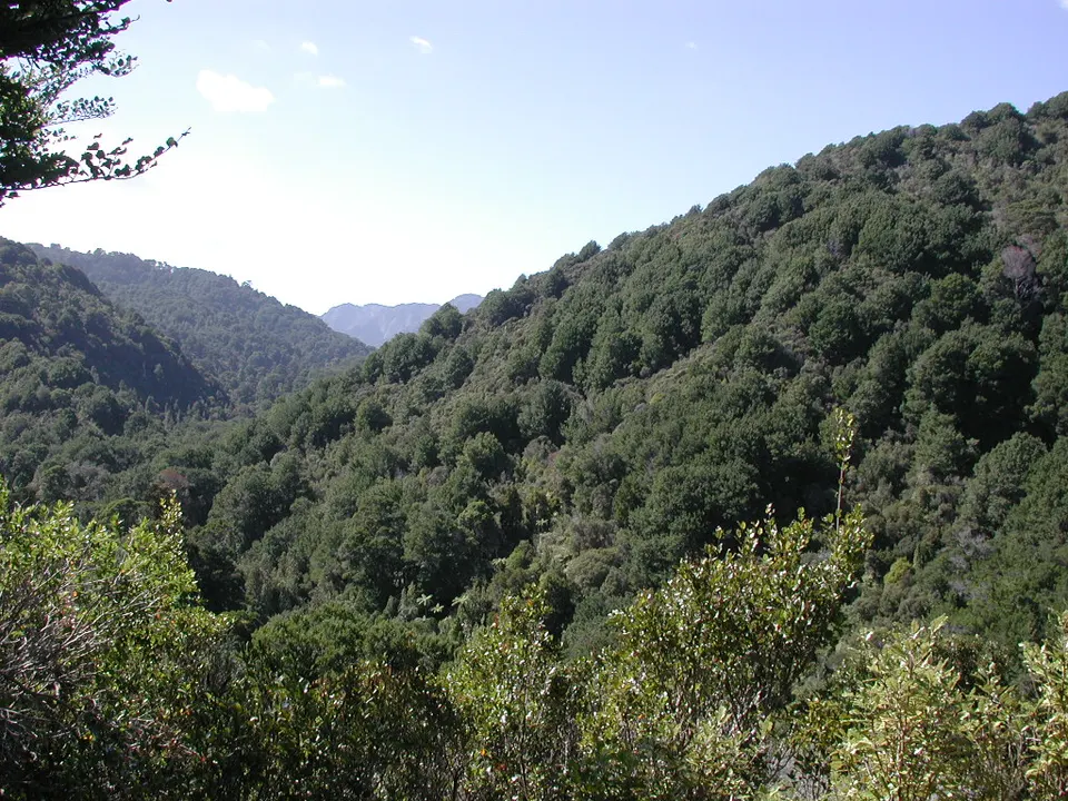 View up Catchpool Valley — Lower Hutt City, New Zealand